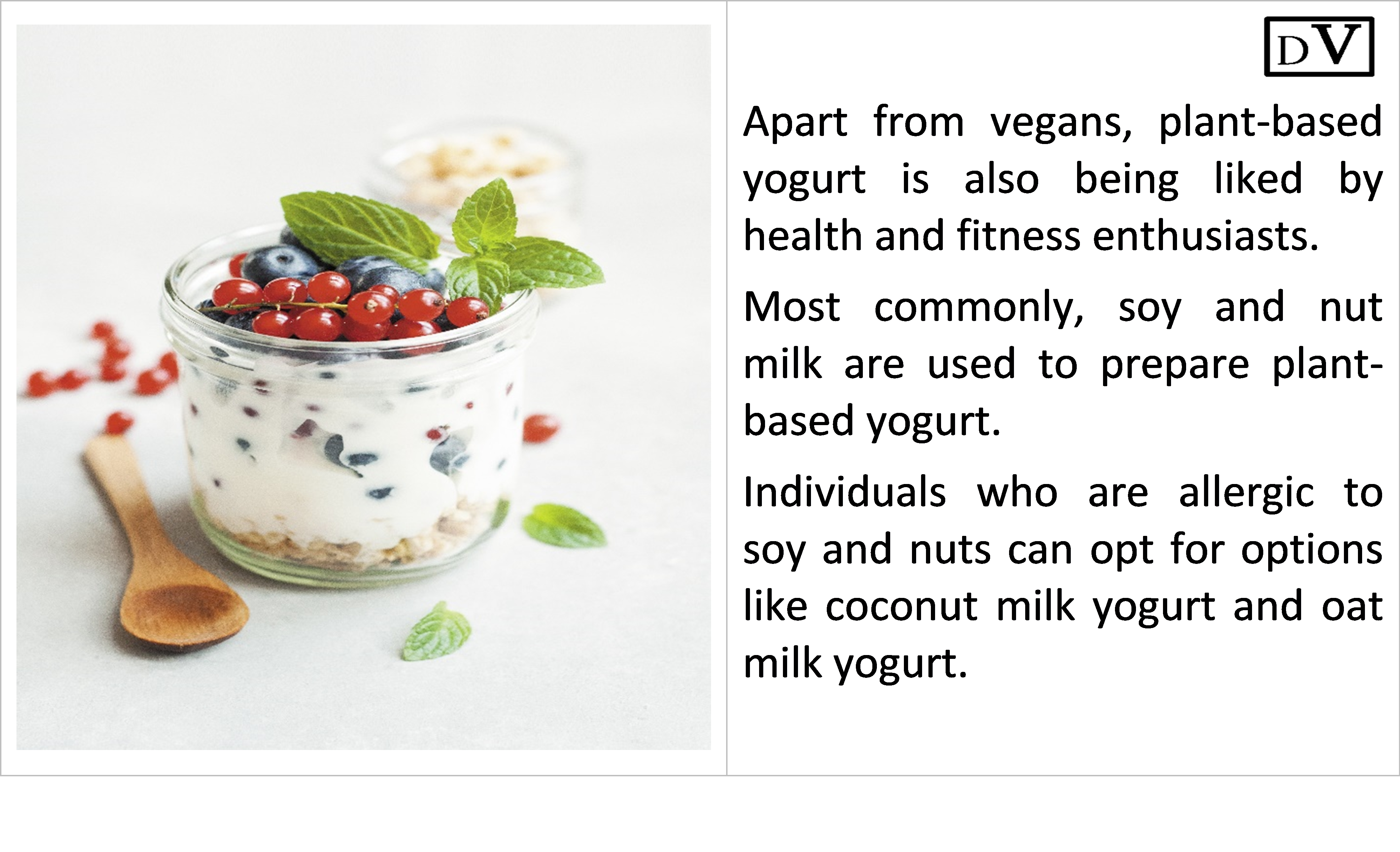Plant based yogurt