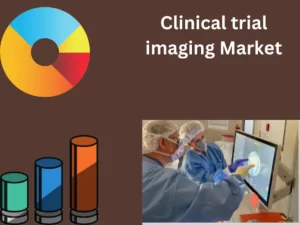 Clinical trial imaging Market