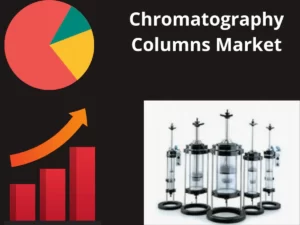 Chromatography Columns Market