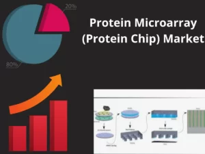 “Protein Microarray (Protein Chip) Market