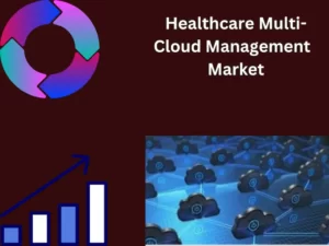 Healthcare Multi-Cloud Management Market