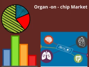 Organ-On-Chip (OOC) Market