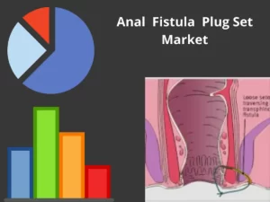 Anal Fistula Plug Set Market
