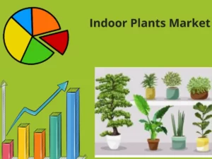 Indoor Plants market