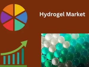 Hydrogel Market