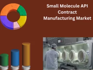 Small Molecule API Contract Manufacturing Market
