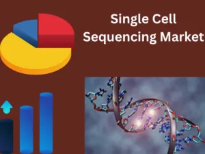 Single Cell Sequencing  Market