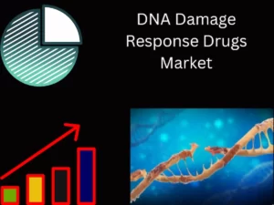 DNA Damage Response Drugs Market
