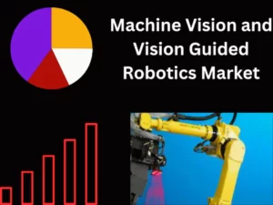 Machine Vision and Vision Guided Robotics Market,