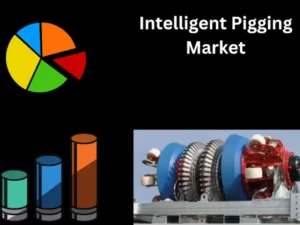 Intelligent Pigging Market