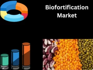 Biofortification Market