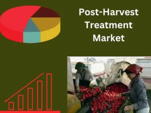 Post-Harvest Treatment Market