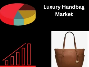 Luxury Handbag Collectibles Market