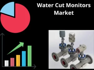 Water Cut Monitors Market