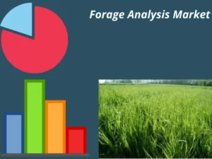 forage analysis market