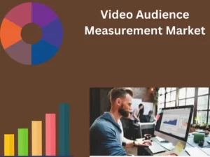 Video Audience Measurement Market