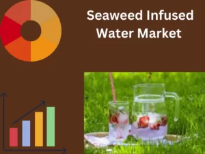  Seaweed Infused Water Market
