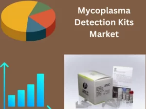 Mycoplasma Detection Kits Market