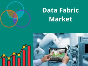 Data Fabric Market