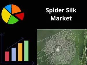 Spider Silk Market