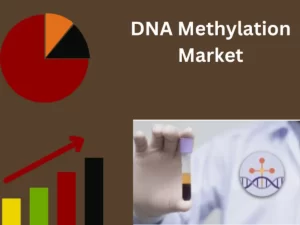 DNA Methylation Market