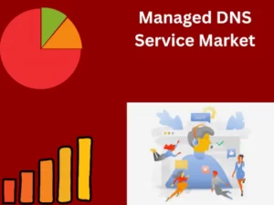 Managed DNS Service Market