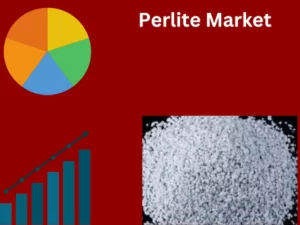 Perlite Market