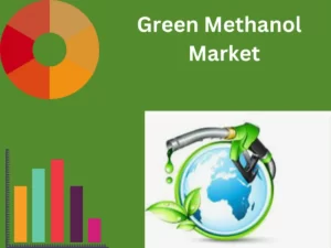 Green Methanol Market