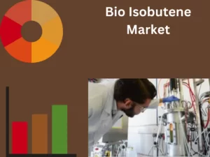 Bio Isobutene Market