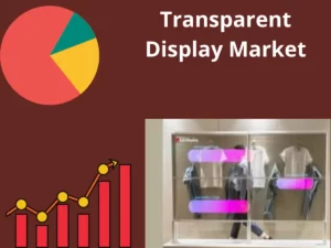 Transparent Display  Market 