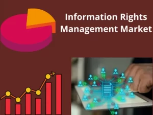 Information Rights Management Market