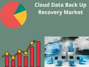 Cloud Data Back-Up Recovery Market 