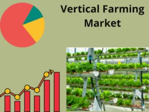 Vertical Farming  Market