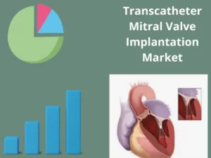 Transcatheter Mitral Valve Implantation Market